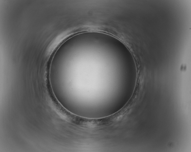 X0000111810103200907231244