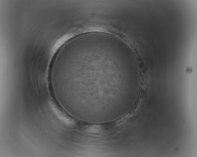 X0000111810104200907231244