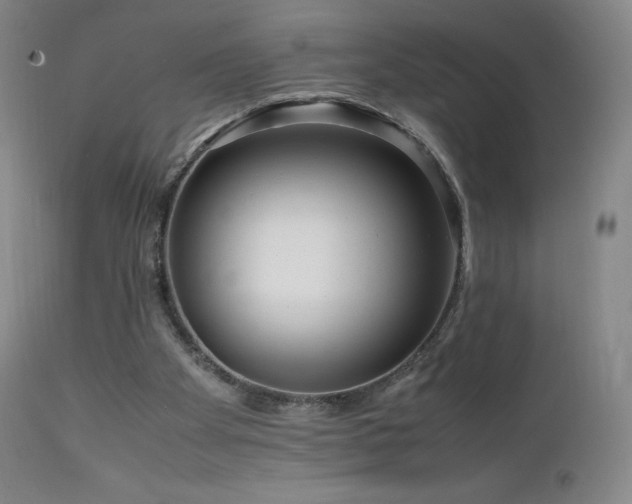 X0000111810105200907231244