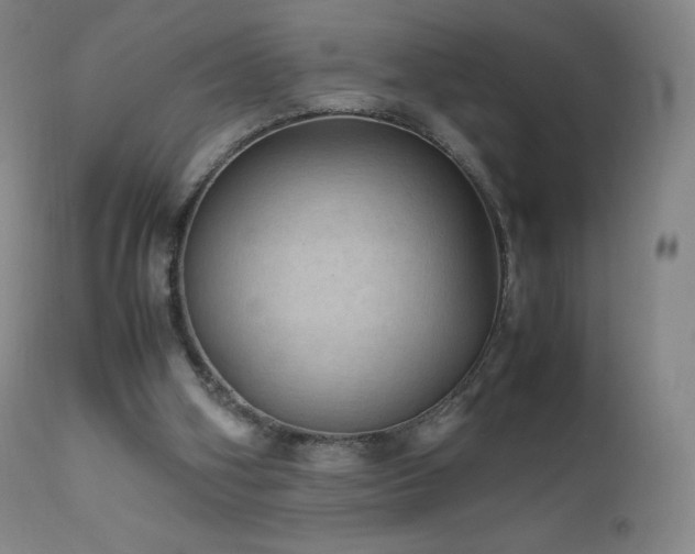 X0000111810106200907231244