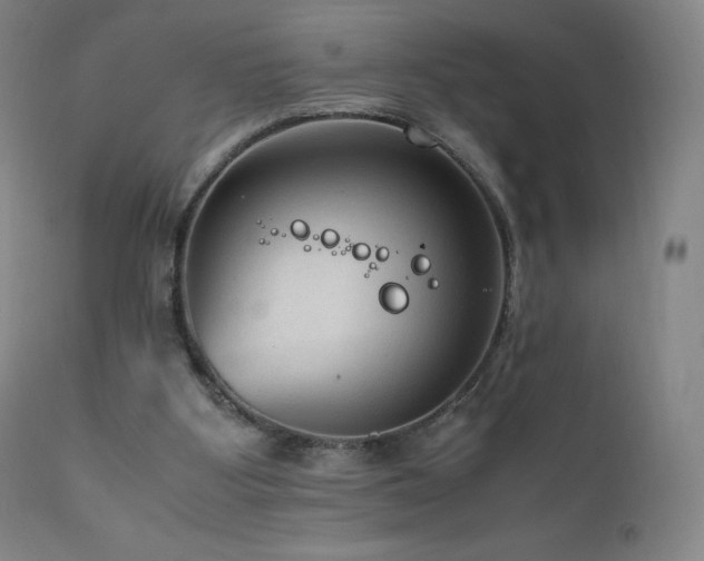 X0000111810107200907231244