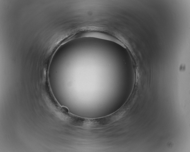 X0000111810109200907231244