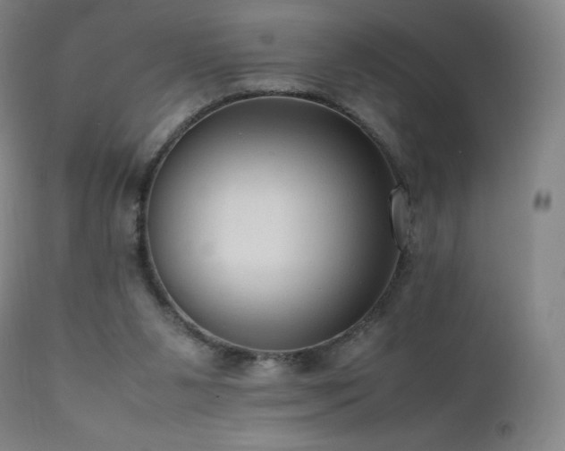 X0000111810111200907231244
