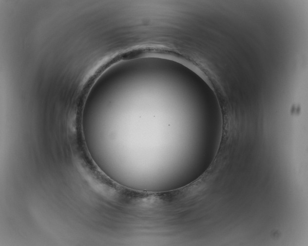 X0000111810112200907231244