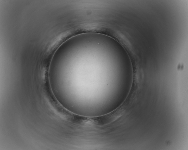 X0000111810115200907231244