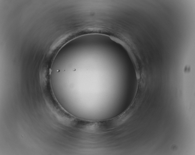 X0000111810116200907231244