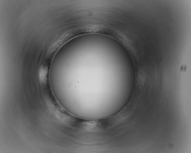 X0000111810118200907231244
