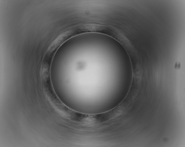 X0000111810119200907231244