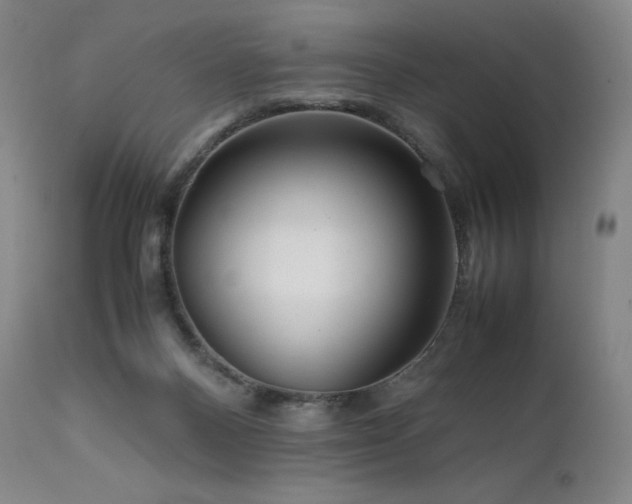 X0000111810120200907231244