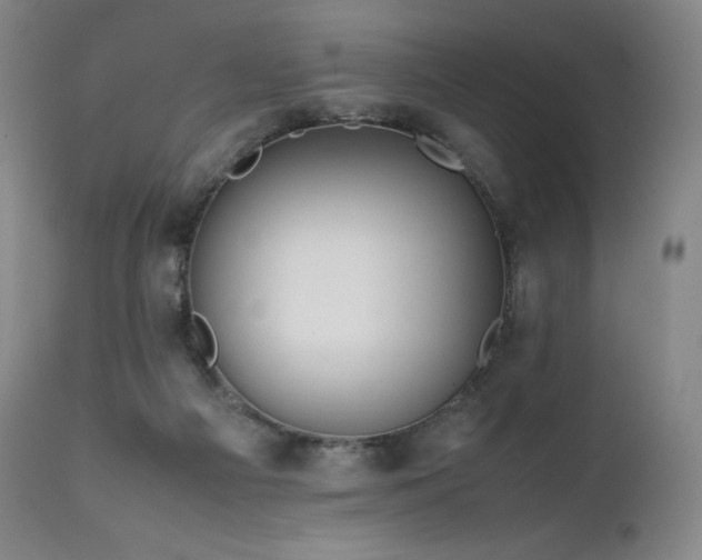 X0000111810121200907231244