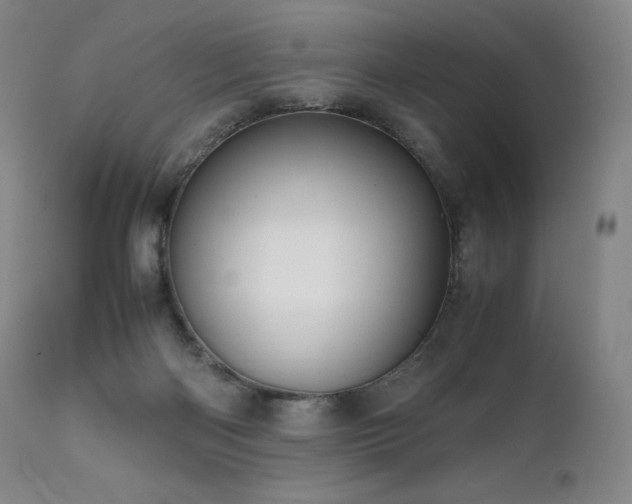 X0000111810122200907231244