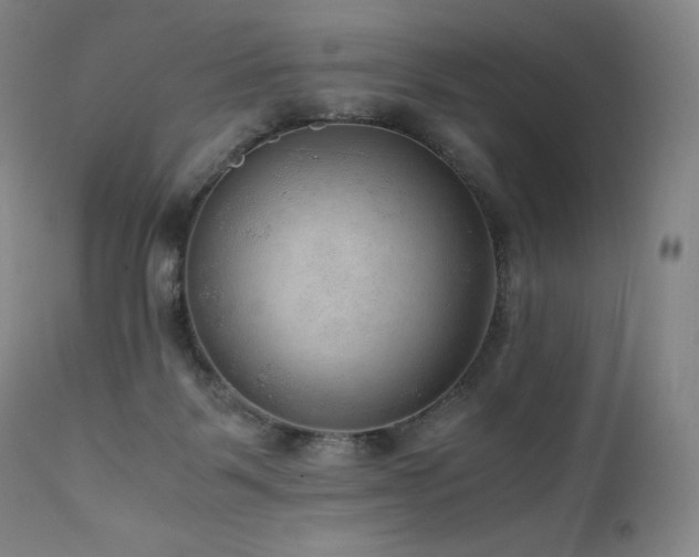 X0000111810123200907231244