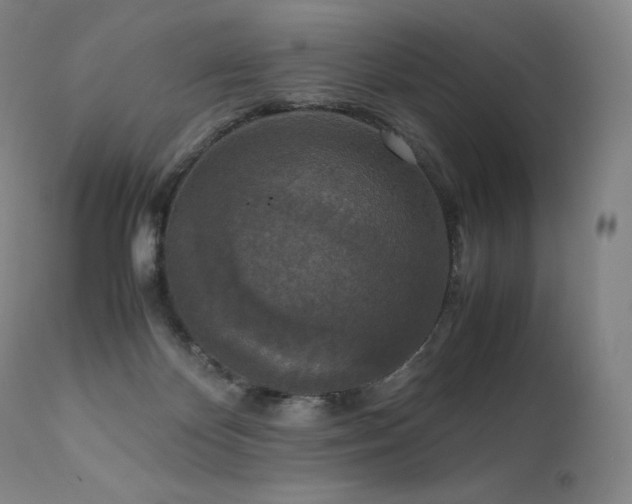 X0000111810124200907231244