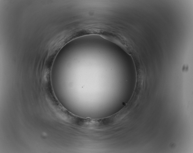 X0000111810125200907231244