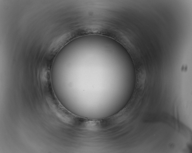 X0000111810126200907231244