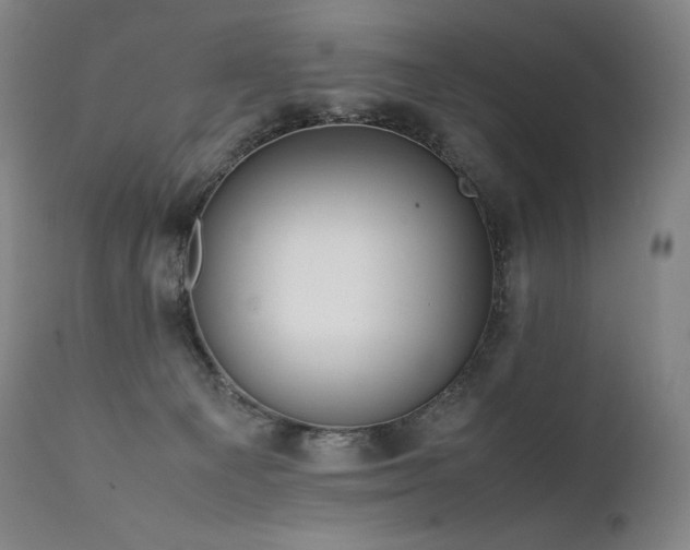 X0000111810129200907231244