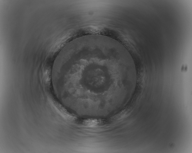 X0000111810131200907231244