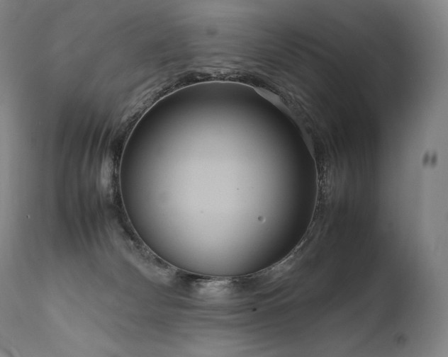 X0000111810132200907231244
