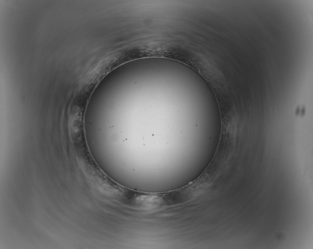 X0000111810133200907231244