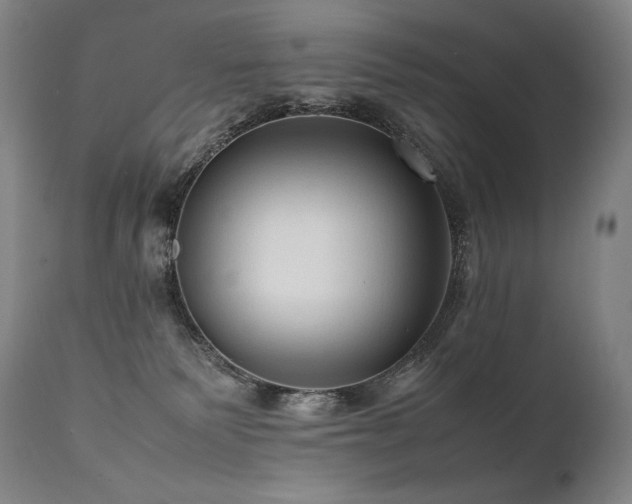 X0000111810135200907231244