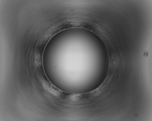 X0000111810136200907231244
