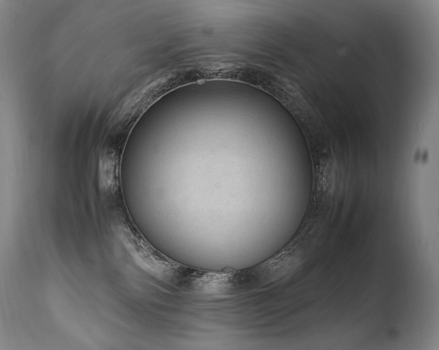 X0000111810138200907231244