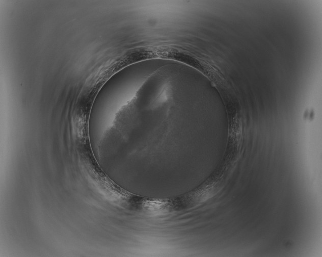 X0000111810139200907231244