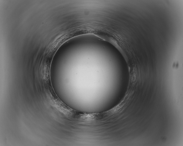 X0000111810140200907231244