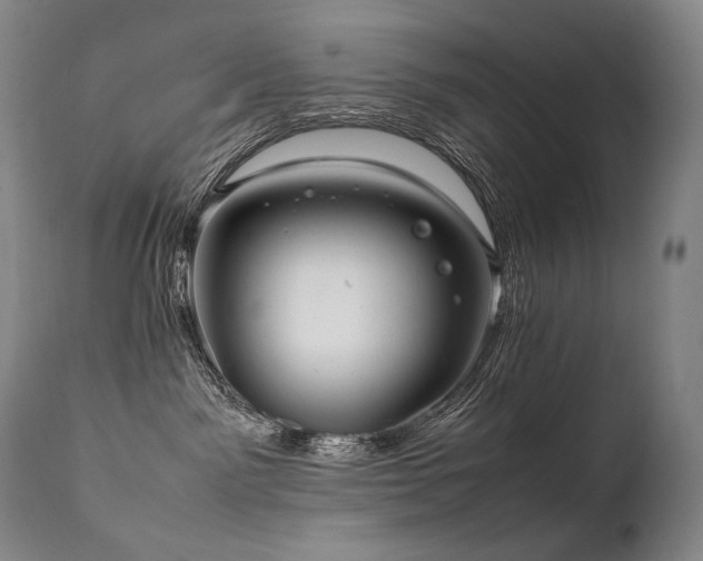 X0000111810141200907231244