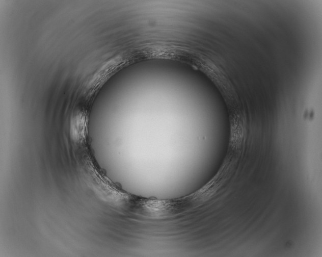 X0000111810142200907231244