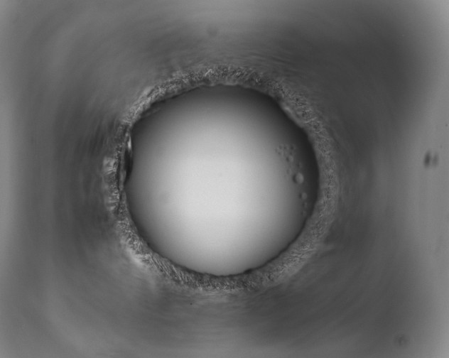 X0000111810144200907231244