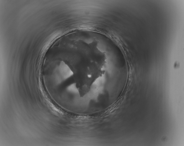 X0000111810145200907231243