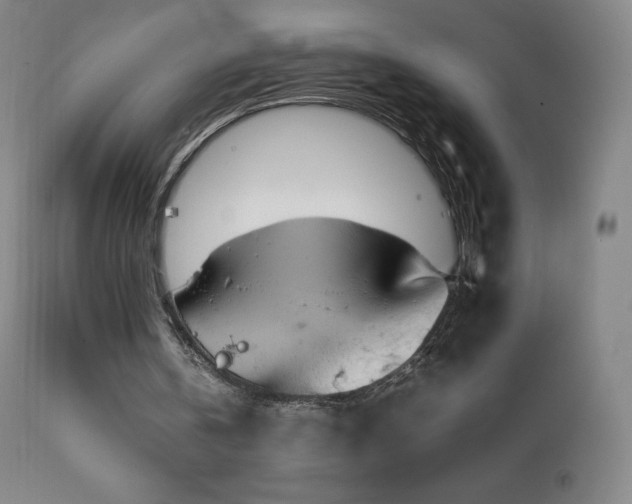 X0000111810146200907231243