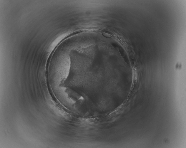 X0000111810147200907231243