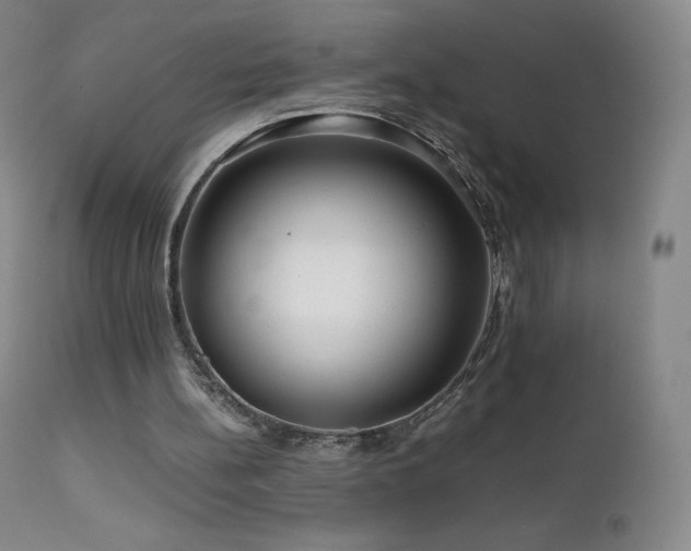 X0000111810148200907231243