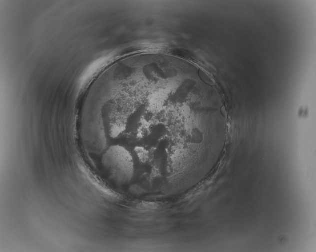 X0000111810149200907231243