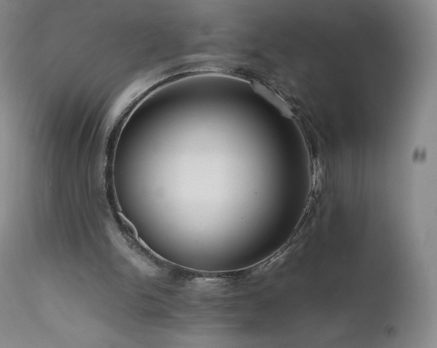 X0000111810150200907231243