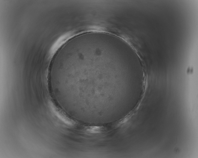 X0000111810151200907231243