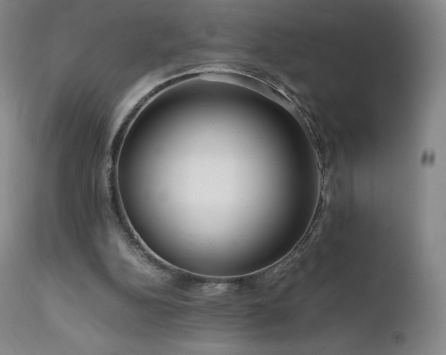 X0000111810152200907231243