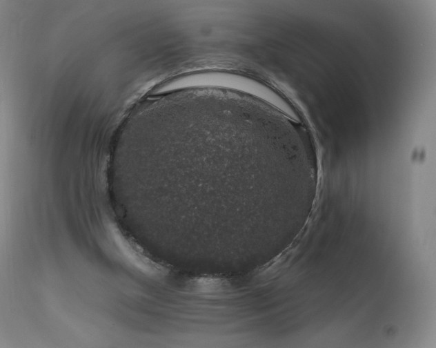 X0000111810154200907231243