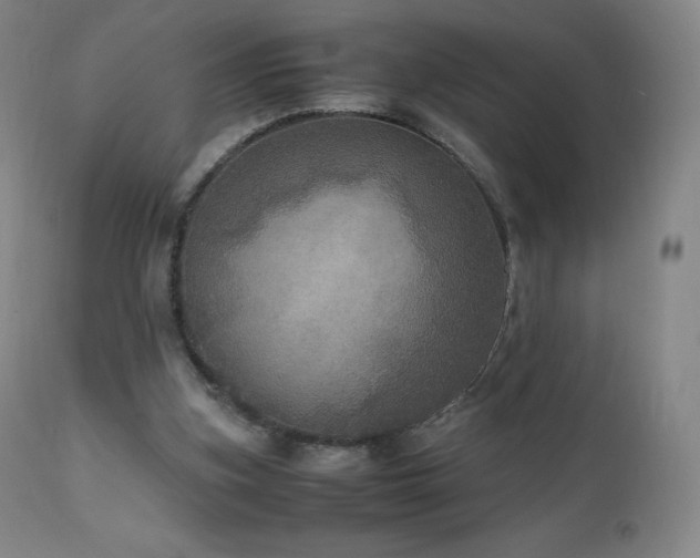 X0000111810155200907231243
