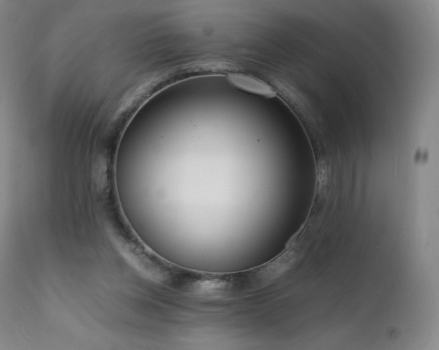 X0000111810158200907231243