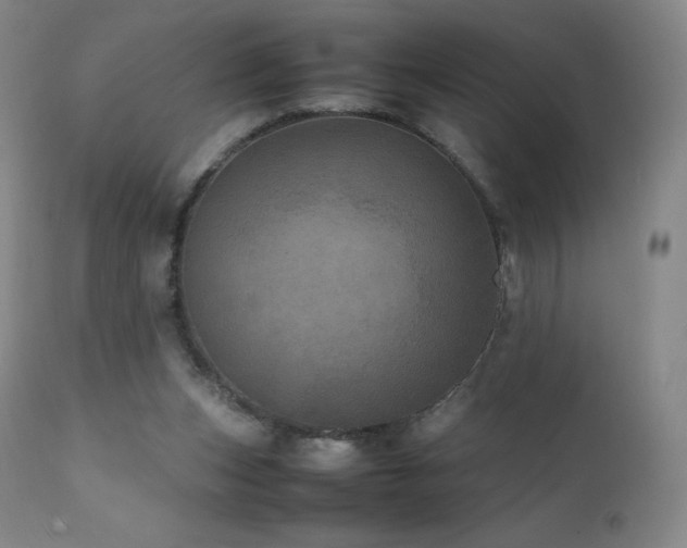 X0000111810159200907231243