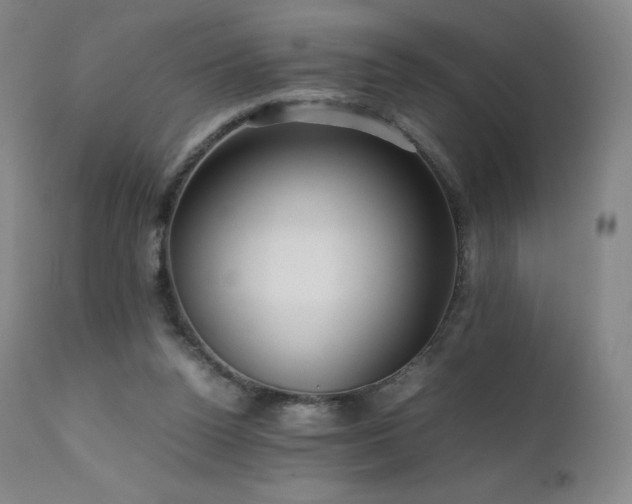 X0000111810160200907231243