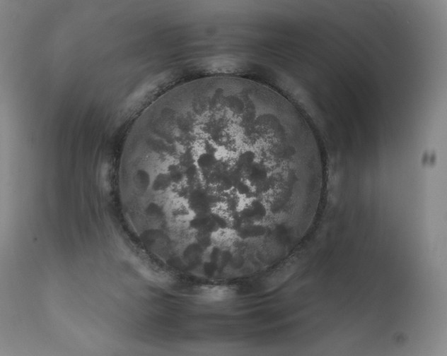X0000111810161200907231243