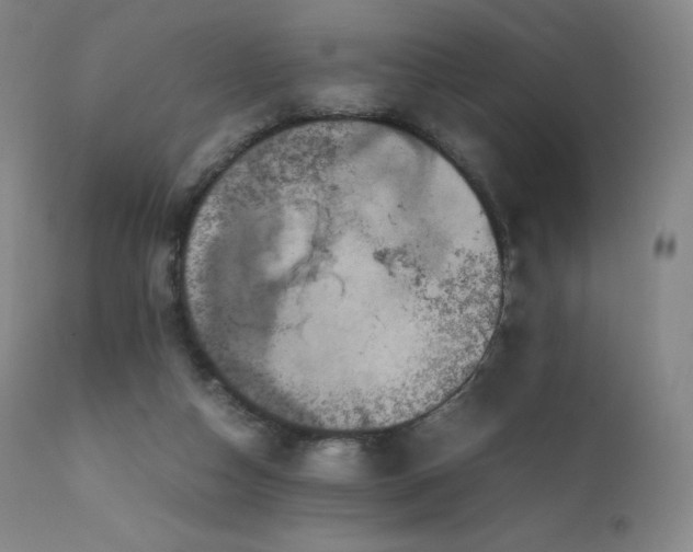 X0000111810162200907231243