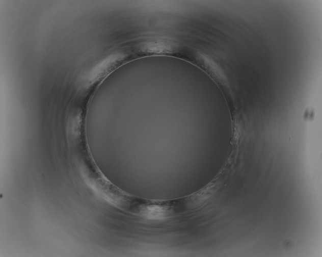 X0000111810163200907231243