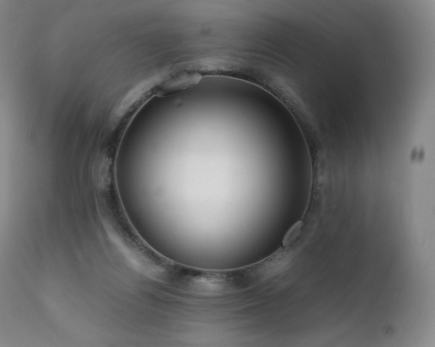 X0000111810164200907231243