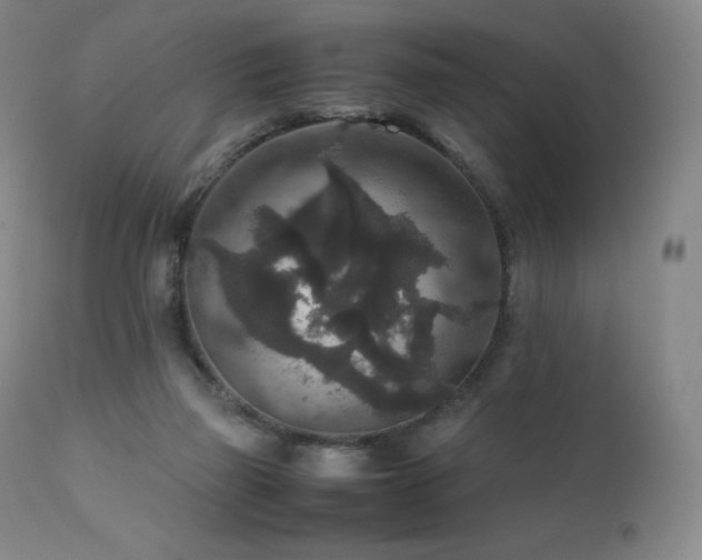 X0000111810165200907231243