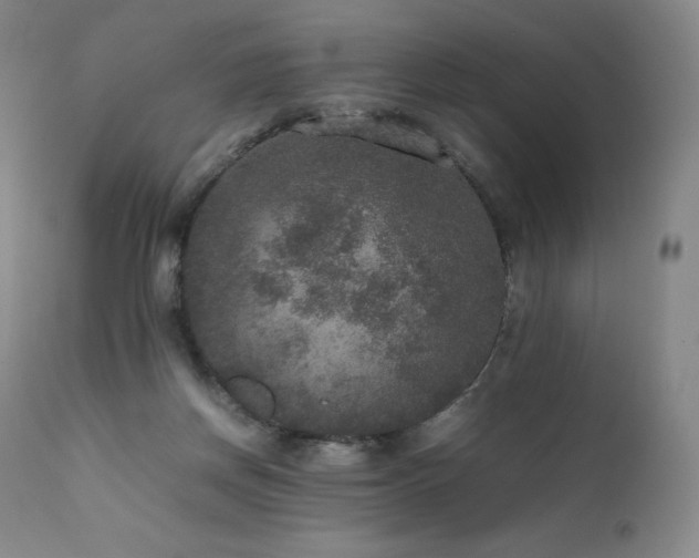 X0000111810166200907231243